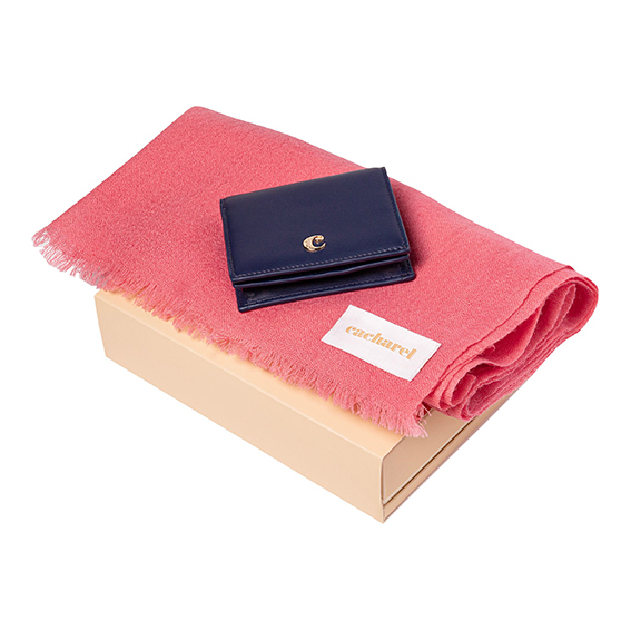 Set Posh: Sciarpa in lana e Portafoglio 