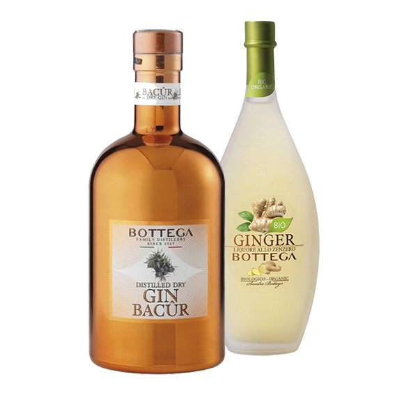 Bottega Set: GIN Bacur 1L e GINGER BIO 