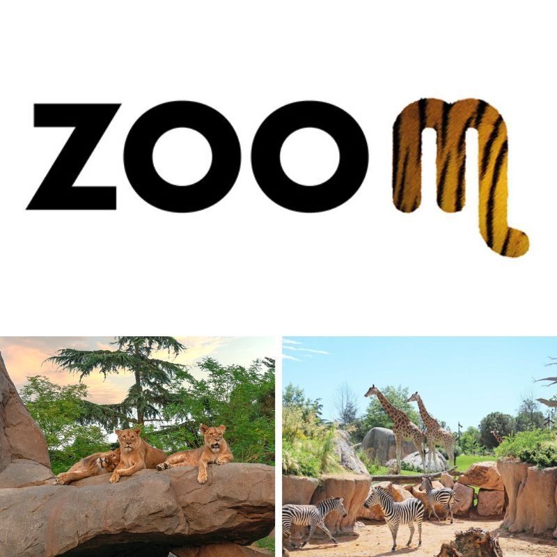 Zoom Torino - 1 ingresso Open 