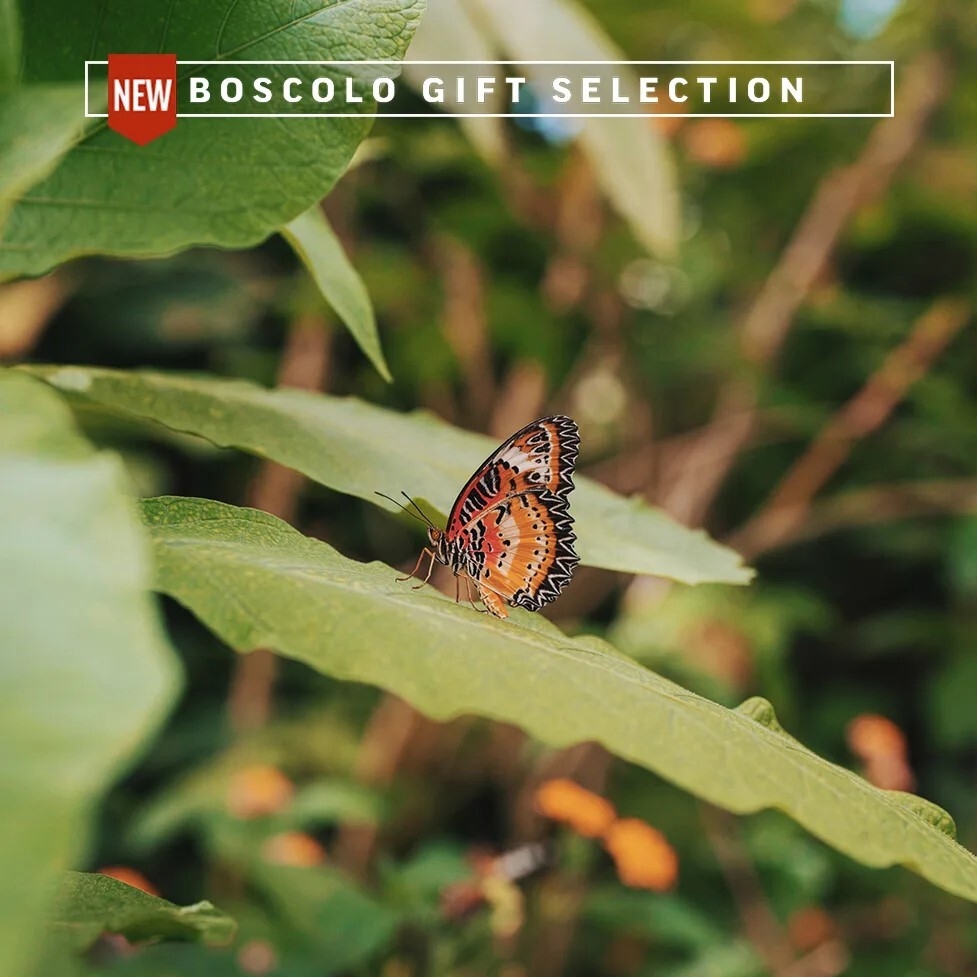 Notte a Milano Marittima + Casa delle Farfall 