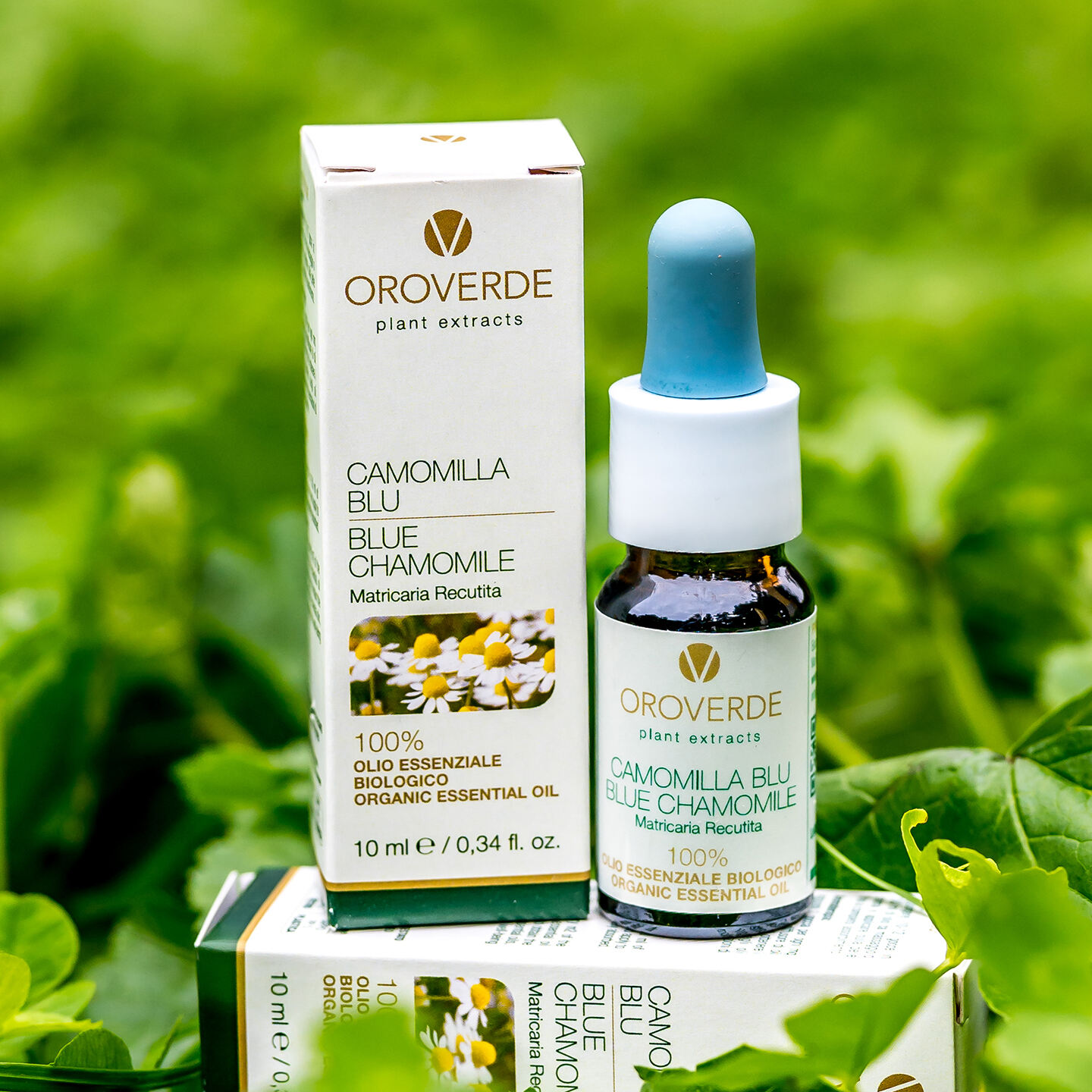 Olio CAMOMILLA BLU Bio - Calmante 