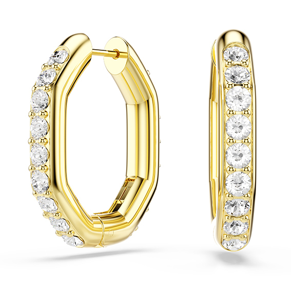 Orecchini a cerchio Dextera  