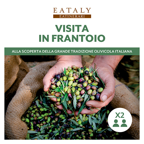 Visita in Frantoio 