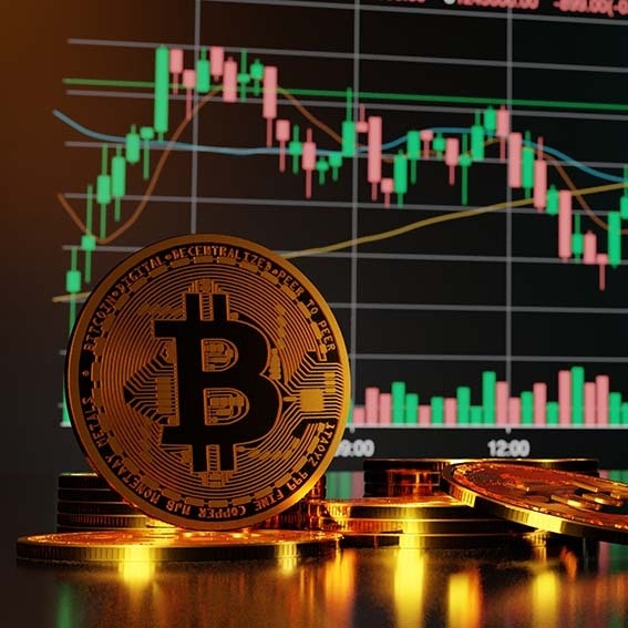 Financial Freedom Criptovalute e Crowdfunding 