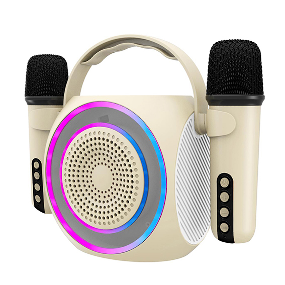 Speaker wireless con 2 microfoni 