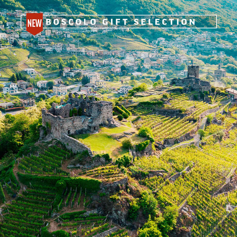Soggiorno e degustazione di vino in Valtellin