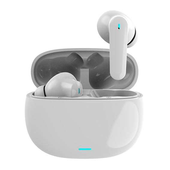 Auricolari True Wireless Mojo Quiet