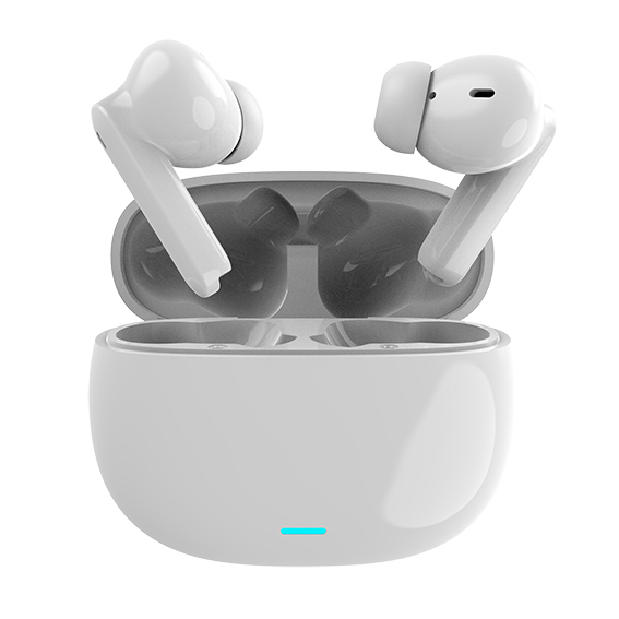 Auricolari True Wireless Mojo Quiet