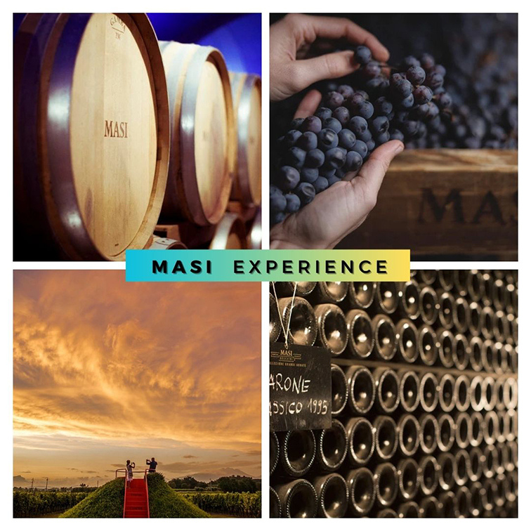 Masi experience -  Degustazione vini e formag