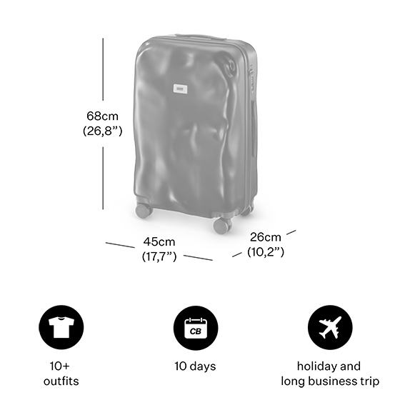 Trolley Medium Silver 